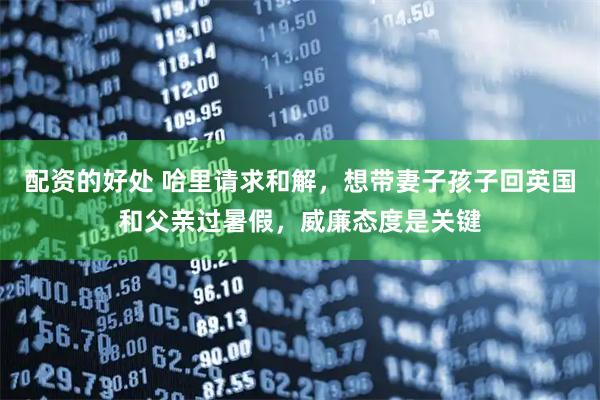 配资的好处 哈里请求和解，想带妻子孩子回英国和父亲过暑假，威廉态度是关键